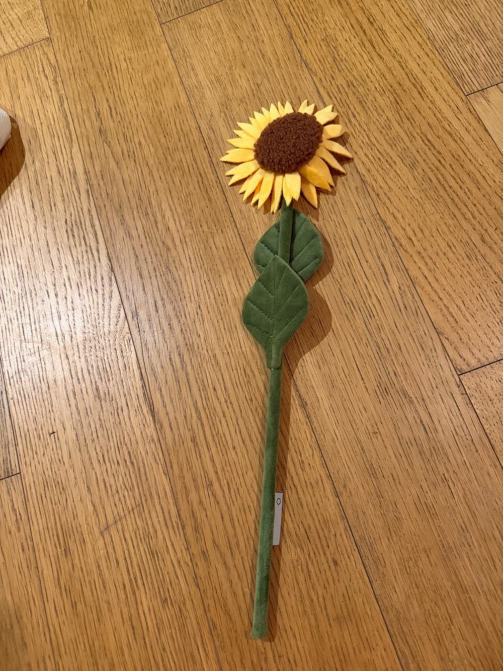 CJ Henry Sunflower (NY flower market 2026)